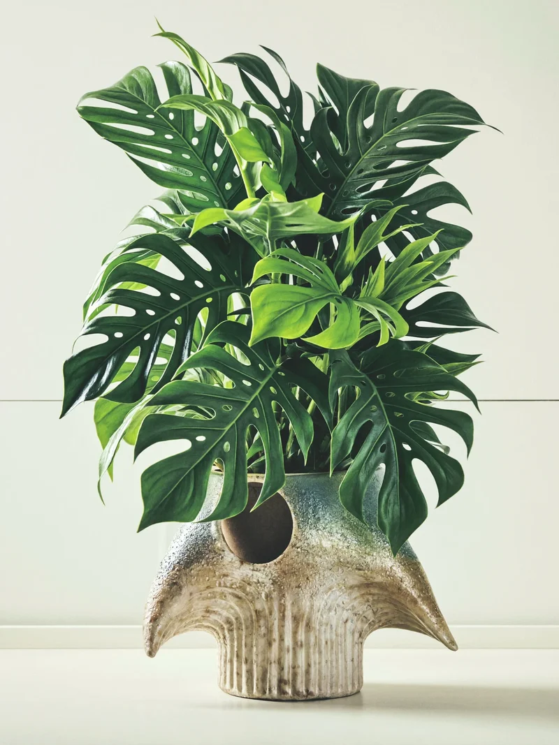 Illustrazione concettuale di una composizione scultorea in vaso ceramico originale.