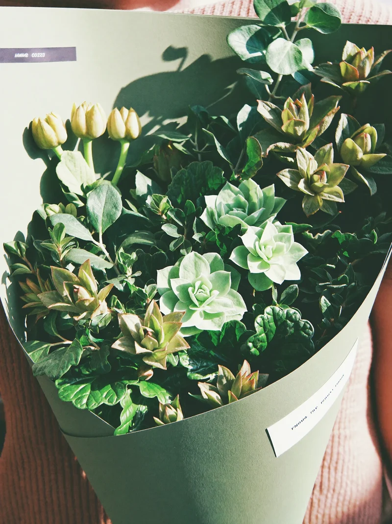 Illustrazione concettuale di un bouquet stagionale con confezione asimmetrica.